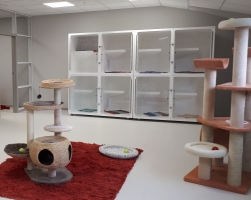 Cat Low Stress 4 cage unit   w lockable portholes in cattery